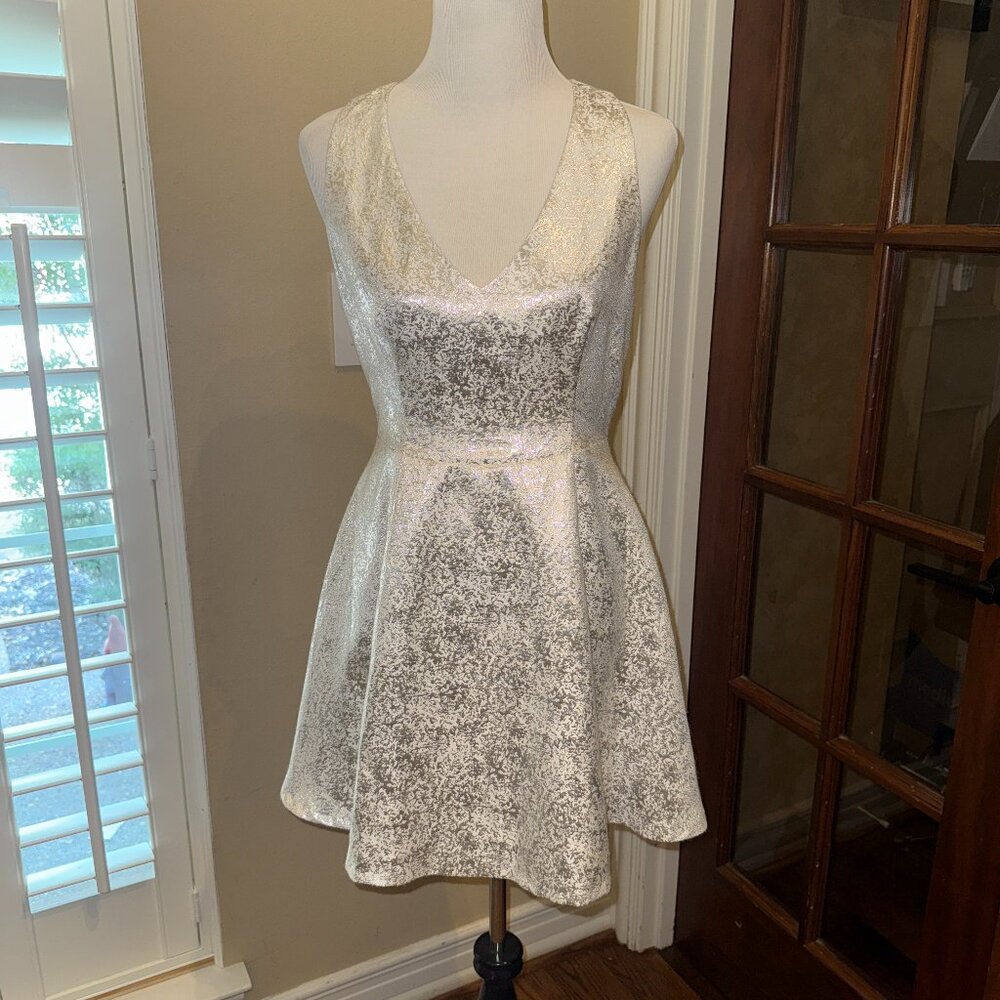 Ark & Co Silver Mini Dress